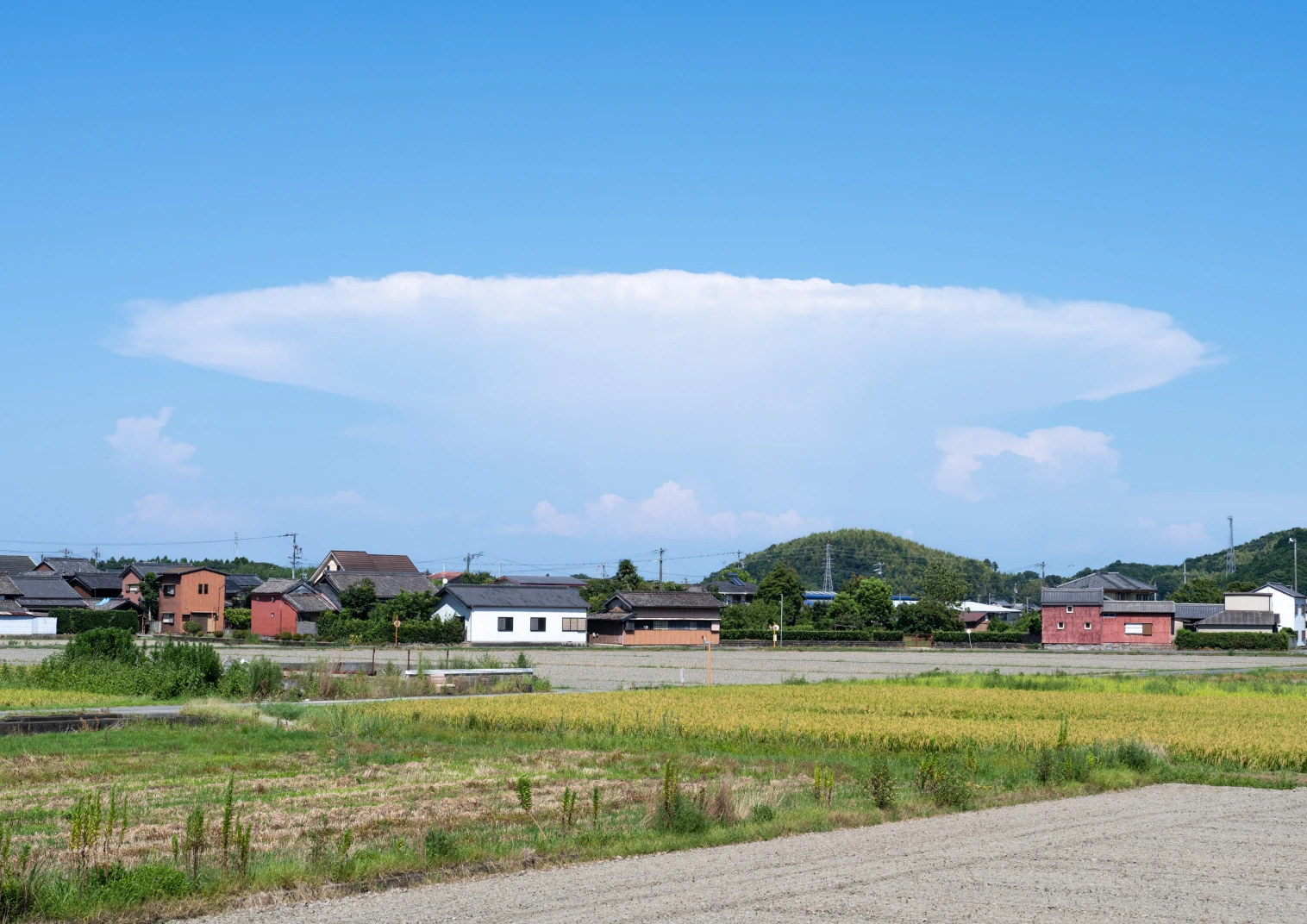 海と山の間 · 第 1 幅，保留原作品集版式