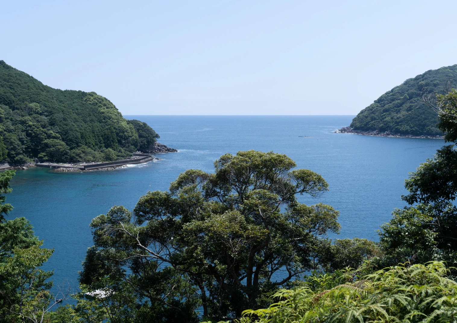 海と山の間 · 第 2 幅，保留原作品集版式